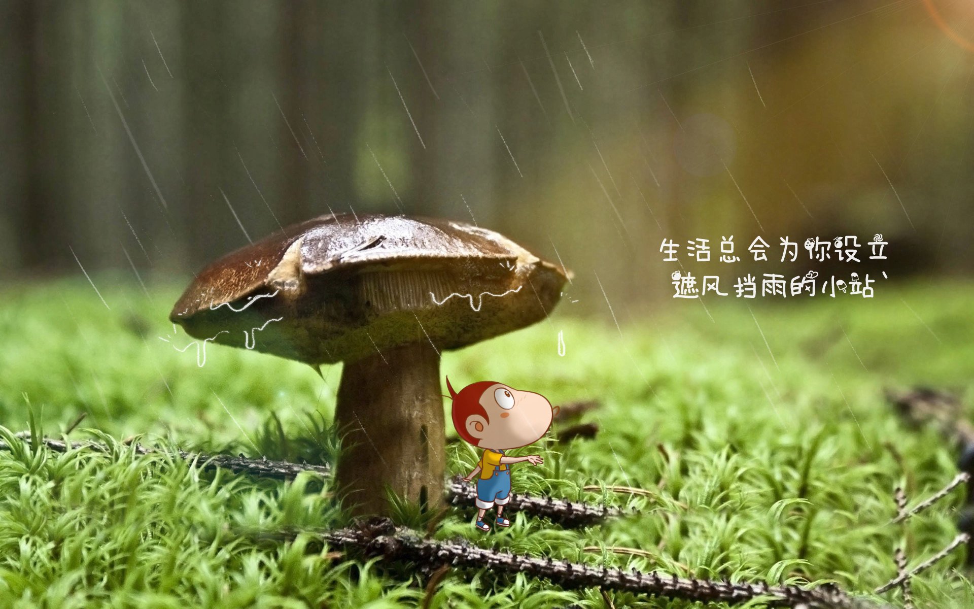 九游电竞中心-_森林狼队团结一致，继续争夺胜利_，森林狼团队口号