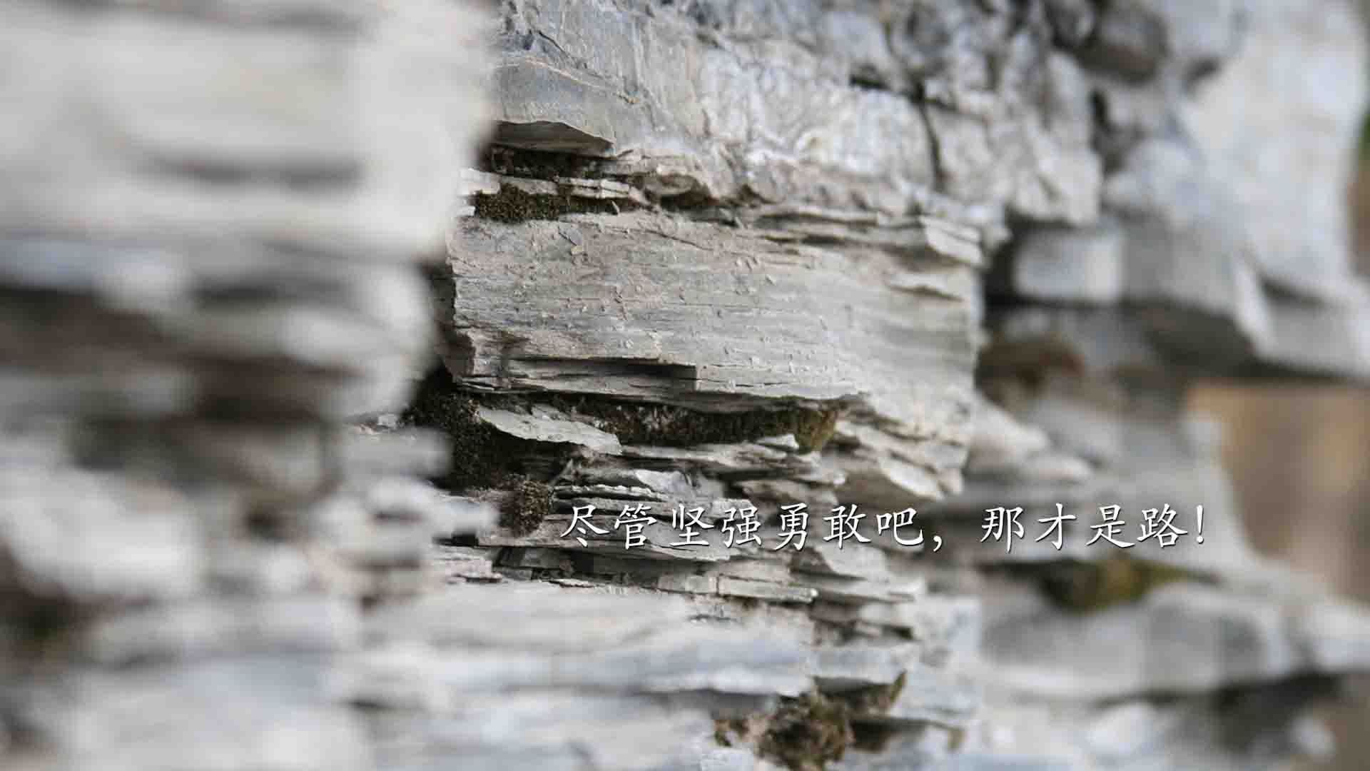 九游下载电脑版官网-“青春逐梦”公益篮球比赛在河南焦作激烈角逐，河南省青少年篮球比赛