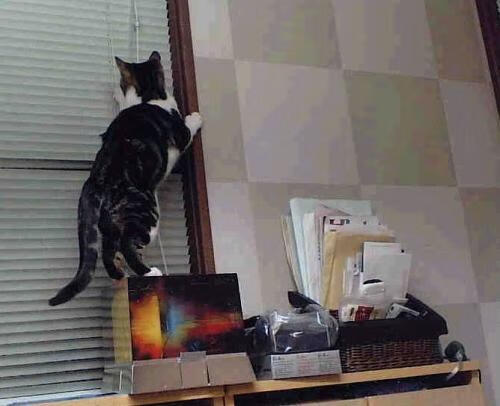 城市夜空激光划水，科技与运动的梦幻结合，夜空中的激光束